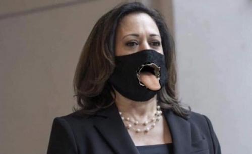 image_1629689588.849