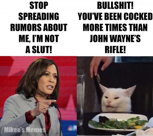 Smudge Harris Cocked