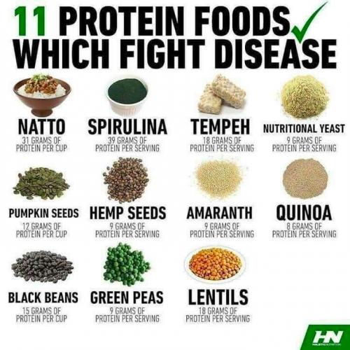 #Protein