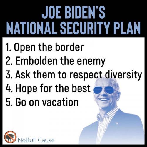 national security plan