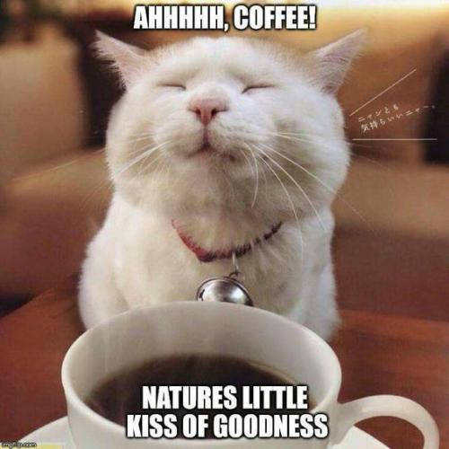 coffee2