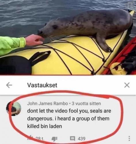 seal