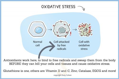 OXIDATIVE STRESS