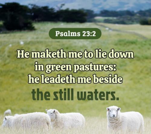 Psalm 23:2