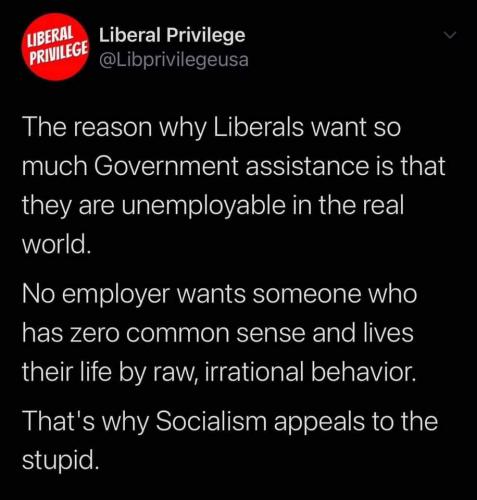 FB_IMG_1598813305419