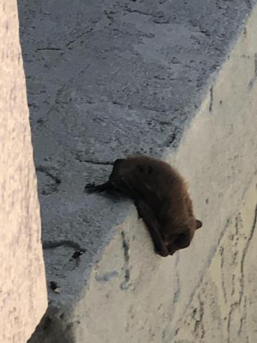 1929E1D7-E3B5-436D-9C5F-DD4BFF610712