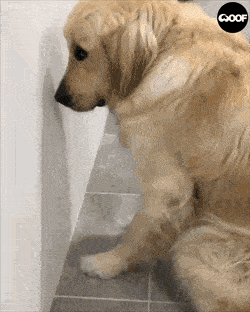 morning_gifdump_83_20