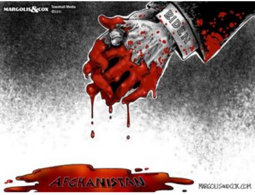 5EA3FAB7-3388-435C-989A-11F6BB94570D