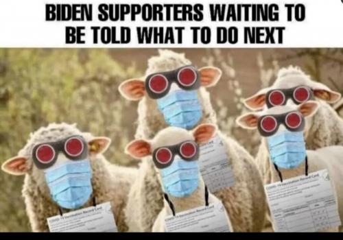 3C9CEE79-A80D-4C52-A956-59D51B1EB2F7