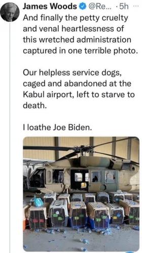 D5420C48-BAC1-42C2-8070-82F62BD742BC