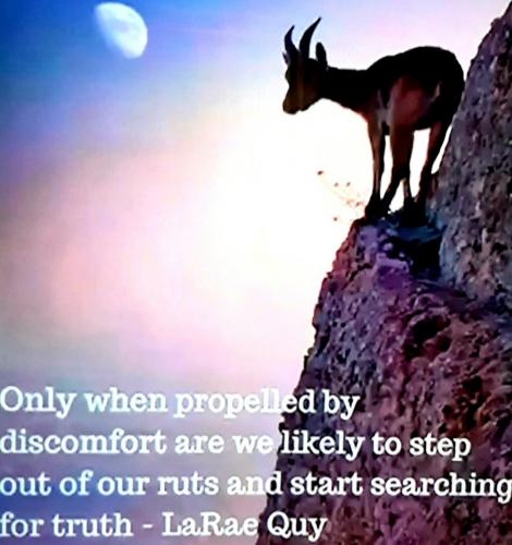 Screenshot_20210821-143323_Gallery