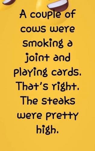 FB_IMG_1628126530838