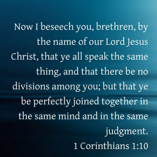 05257467-10D5-45D4-81DE-5BB197B2166E