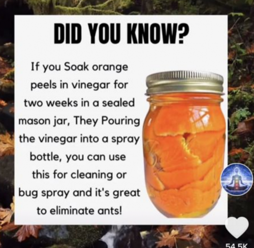 Screenshot_20210727-022642-278