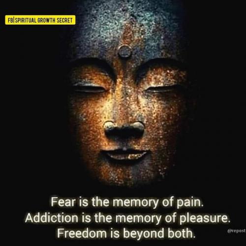 1BD24BF1-9EC0-45BB-91BE-965D8EF22E29