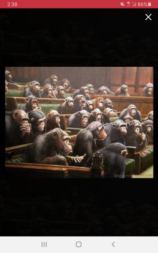 Screenshot_20210818-023900_Parler