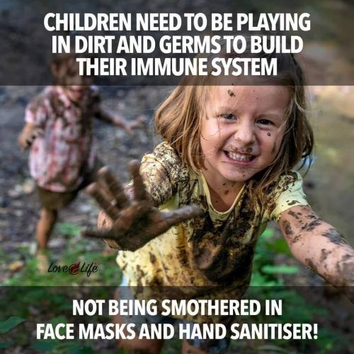 immune systems