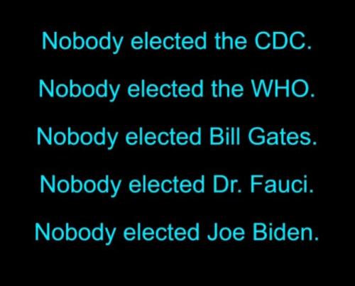 M nobody