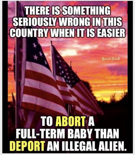 1A0B4E2C-F937-41D1-B65F-5D6ED6F3400E