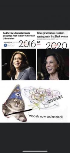 BE9FAED1-5CBC-4036-A3BA-547CA5295DB4