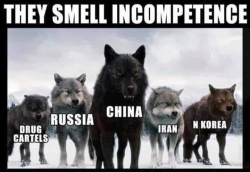 A7FFF912-F7C9-4DA5-8DAE-E66997FD8BF2