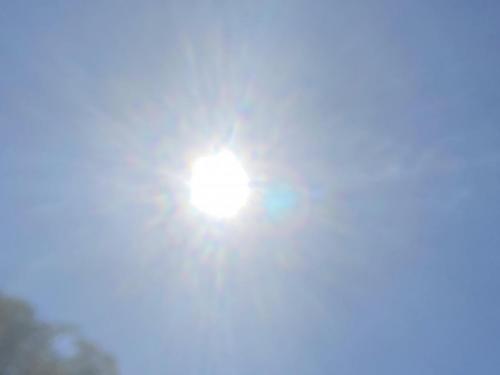 56548201-0DE0-416D-8D92-4A2DDD59A280