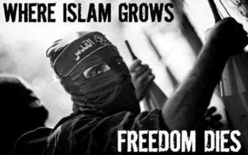 ob4vS3en9MHgn2jkQ4u6_30_1b600cb160084dd53fddc27eb448958d_image