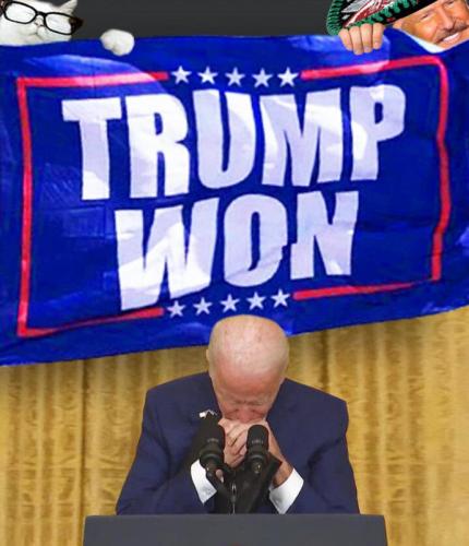 Trump won cat