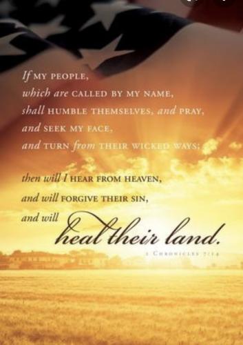 C0C5BC61-E8C7-4085-B67D-AF0ECB4A0578