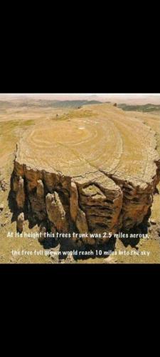 C8064331-8DAE-41A7-A328-EC34B4FFE03B