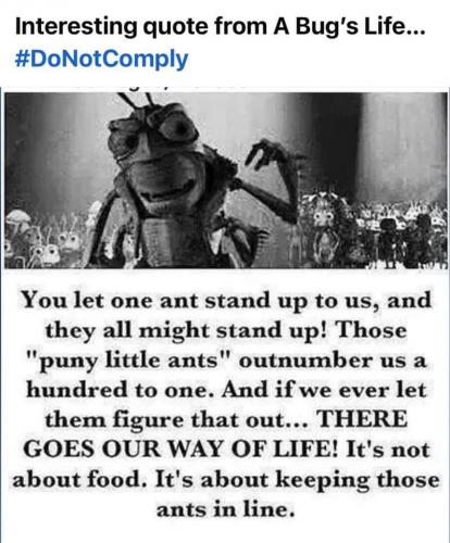 ANT'S