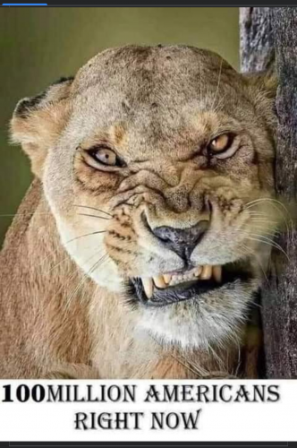 Screenshot_20210822-234700-337