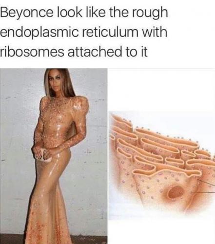 FB_IMG_1581896227980