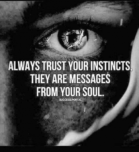 Screenshot_20210720-185336-003