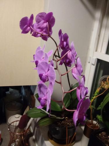 20190112_175255