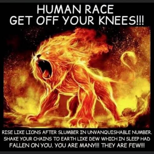 C0277C70-EDBE-4C81-8A28-851F505AF0C2