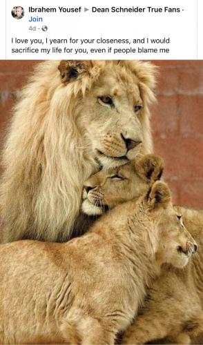 FF7A52BF-73E2-4C05-8163-C680AD1D7291