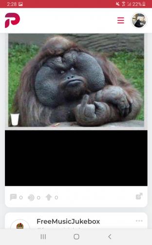 Screenshot_20210704-142819_Parler