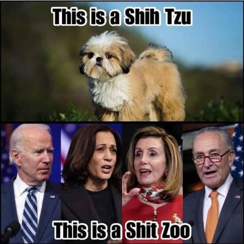 IMG_20210318_071843_817