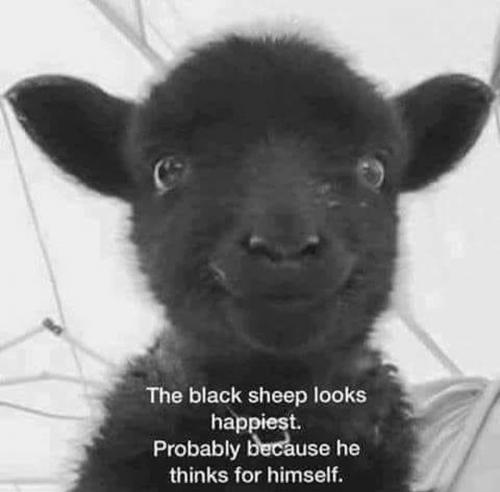 D5EAC698-ABE9-4550-B27E-80E86589FBE7