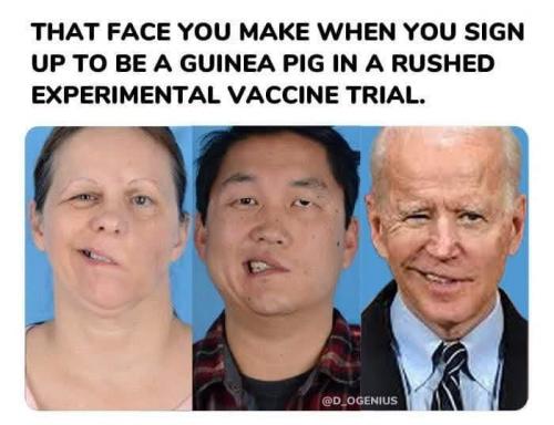 FB_IMG_1608362755547