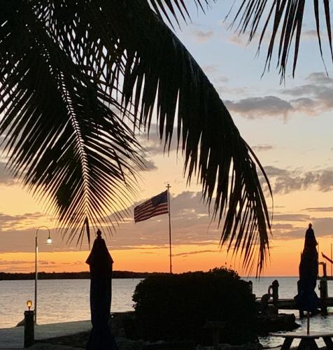 E134C3EA-62D3-47E9-875D-4254CF1055D8