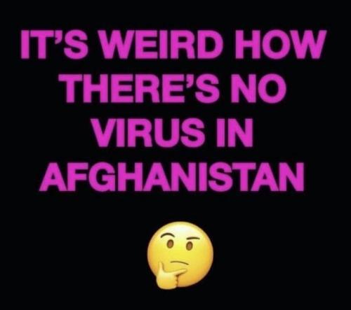 53F2B52D-C0F9-4A4D-B64F-5A5CB08CA845