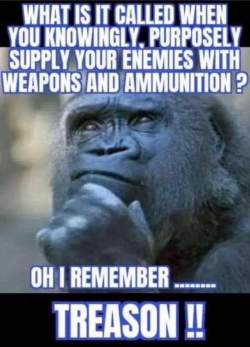 C Treason