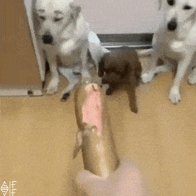 daily_gifdump_3627_06