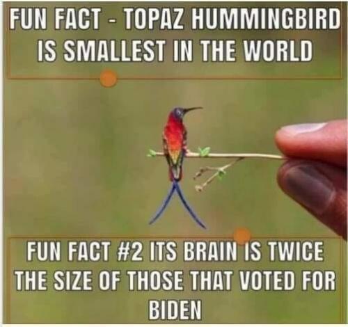 image_1630434593.912