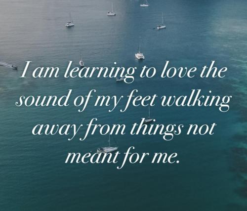 1FC799FE-410E-42A8-925F-58905EB84979