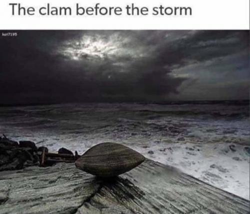 clam