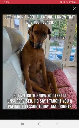 Screenshot_20210827-202534_Parler