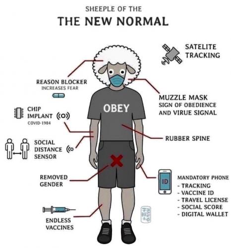 AEBDEECE-0B27-4DAB-A0AC-8575789EC1E0